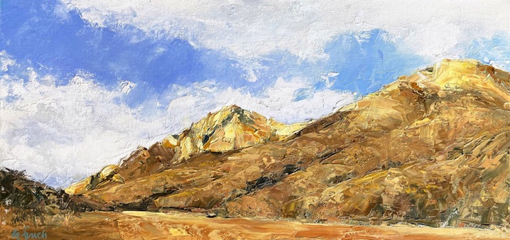 Grant Finch | TUSSOCK HILLS| McAtamney Gallery and Design Store | Geraldine NZ